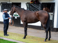 NH051025-52 - Thewoodcorner